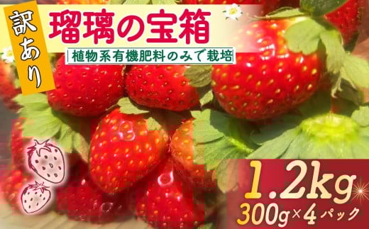 【先行予約】 【植物系有機肥料のいちご】 訳あり いちご 計 1.2kg 300g×4パック 瑠璃の宝箱 オーガニックイチゴ 有機 有機JAS 植物系有機肥料 イチゴ 苺 オーガニックイチゴ ストロベリー ベリー フルーツ ケーキ ジャム デザート 果物 甘い 国産 ブランド 新鮮 産地 直送 フレッシュ 人気 おすすめ ふるさと納税 京都 八幡 八幡市 かみむら農園 2374831 - 京都府八幡市