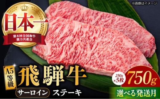 飛騨牛 A4 等級以上 サーロイン ステーキ用