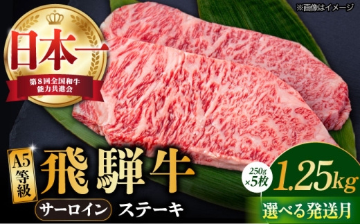 飛騨牛 A4 等級以上 サーロイン ステーキ用