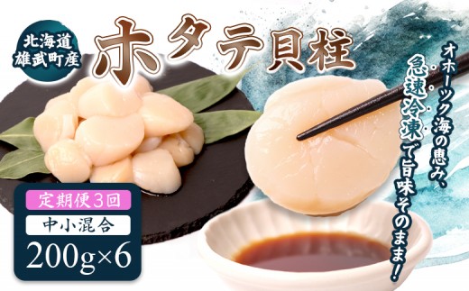 【定期便3回】　北海道雄武町産ほたて貝柱 中小混合 200g×6 (冷凍) 使い切りパック