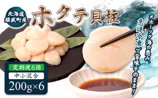 【定期便6回】　北海道雄武町産ほたて貝柱 中小混合 200g×6 (冷凍) 使い切りパック