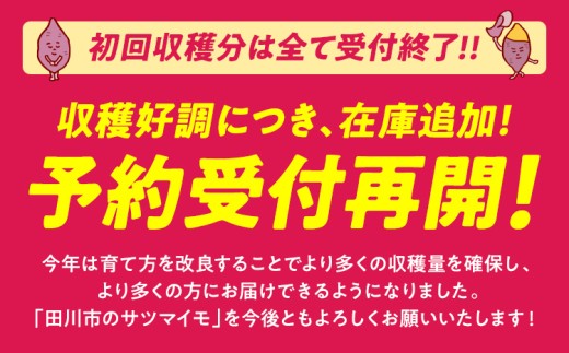 福岡県田川市のふるさと納税 訳あり 紅はるか 熟成 紅はるか 5kg さつまいも 4000円 芋 サツマイモ 土付き サイズ色々 サイズ不揃い 九州産 焼き芋 やきいも 甘い デザート スイートポテト 生芋 おやつ デザート 野菜 いも