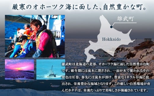 【定期便3回】　北海道雄武町産ほたて貝柱 中小混合 200g×6 (冷凍) 使い切りパック