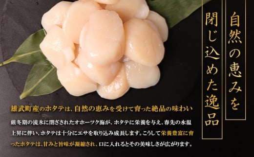 【定期便3回】　北海道雄武町産ほたて貝柱 中小混合 200g×6 (冷凍) 使い切りパック