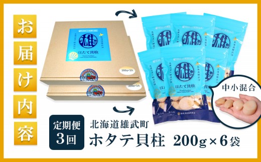【定期便3回】　北海道雄武町産ほたて貝柱 中小混合 200g×6 (冷凍) 使い切りパック