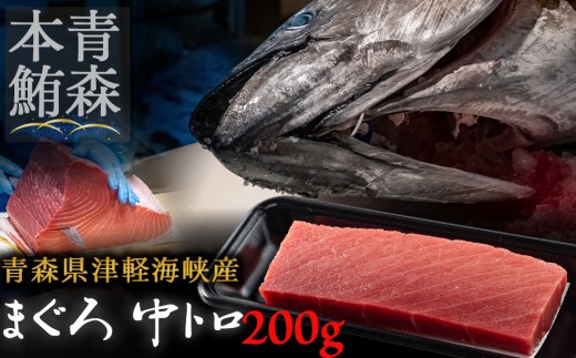 ＜引き締まった旨味＞津軽海峡産まぐろ(中トロ200g)【1047538】 2250122 - 青森県むつ市