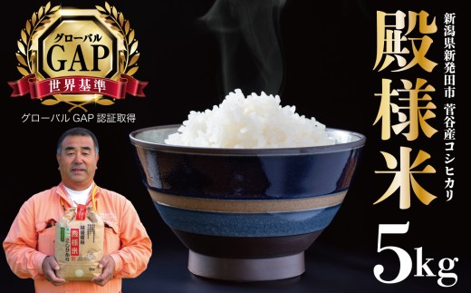 コシヒカリ 玄米 精米 特別 栽培 特別栽培米 新潟県産 越後菅谷殿様米 5㎏ 令和7年産  新潟県産 新発田産 米 5kg 越後菅谷 殿様米 コシヒカリ D05_04  867177 - 新潟県新発田市