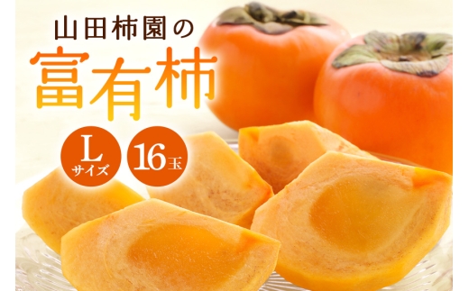 【2026年先行予約】富有柿 L 16玉 柿 カキ かき フルーツ 果物 くだもの 産地直送 茨城県 石岡市 A45-001