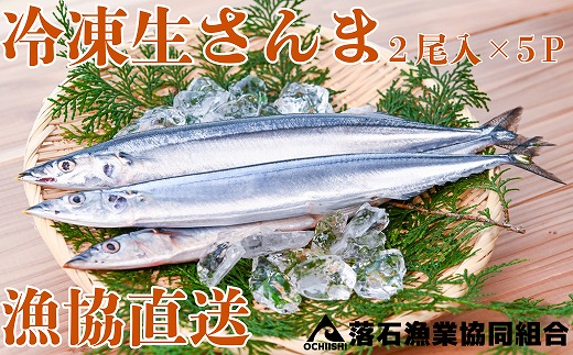 G-20006 【12/14まで年内配送】【北海道根室市】冷凍生さんま2尾×5P