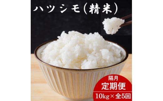 ＜2ヵ月毎定期便＞岐阜県産ハツシモ(精米) 10kg全5回【4076398】