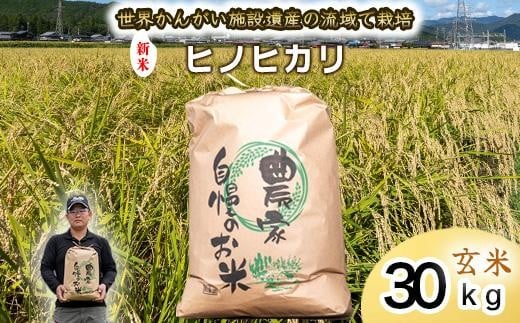 【 玄米　新米 】令和7年度産　ヒノヒカリ 八千種米　お米 30kg　ごはん　兵庫県産　世界かんがい施設遺産登録『西光寺野疏水路』 2370826 - 兵庫県福崎町