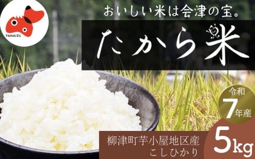 ＜令和7年産＞奥会津のきれいな水で大切に育てた「たから米」＜5kg＞【1685979】 2375858 - 福島県柳津町