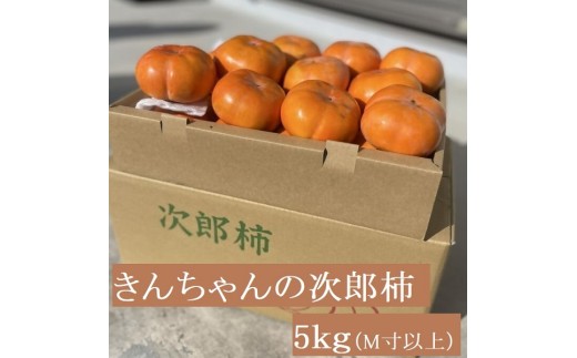 柿づくり40年！きんちゃん農園の多気町産次郎柿 5kg 次郎柿 たねなし 柿 かき フルーツ 家庭用 訳あり 規格外 わけあり 不揃い ふぞろい 種なし 干し柿 先行 先行予約 三重県 多気町 KCN-01