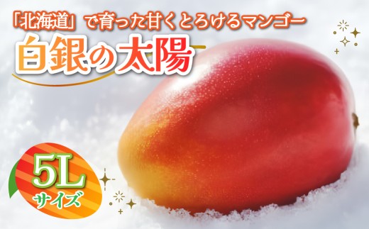 北海道鹿追産　白銀の太陽　５L×１玉【 ふるさと納税 人気 おすすめ ランキング マンゴー マンゴーフルーツ 果物 くだもの 果実 フルーツ ハウス栽培マンゴー 北海道 鹿追町 送料無料 】 SKZ014