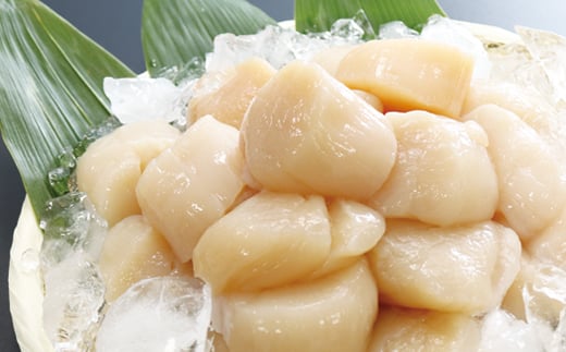 B-32058 【12/17まで年内配送】【北海道根室産】ホタテ貝柱500g