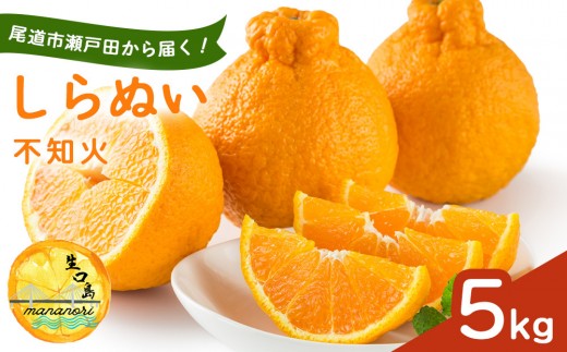 尾道市瀬戸田から届く！ しらぬい（不知火）5キロ