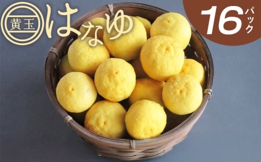 花柚子 柚子 虎弥太郎 はなゆ黄玉 16パック -  国産 ゆず 柚子 ユズ 花柚子 柑橘 香酸柑橘 果物 花皮果汁 フルーツ 果実 料理 酒 ハイボール 焼酎 アレンジ 焼き魚 小分け おすそ分け 高知県 香南市 冷蔵 hy-0004