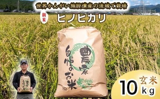【 玄米　新米 】令和7年度産　ヒノヒカリ 八千種米　お米 10kg　ごはん　兵庫県産　世界かんがい施設遺産登録『西光寺野疏水路』 2370824 - 兵庫県福崎町