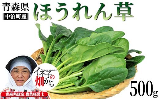 ほうれん草 約500g 【イネ子の畑から】 新鮮 産地直送 サラダ おひたし お味噌汁 スムージー ほうれん草 ジュース ほうれんそう F6N-287 2420226 - 青森県中泊町
