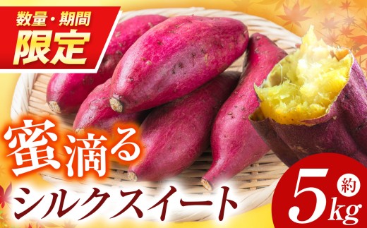 【先行予約】【数量・期間限定】 蜜滴るシルクスイート5キロ（栽培期間中は農薬・化学肥料不使用）| シルクスイート さつまいも 化学肥料不使用 蜜たっぷり 甘いさつまいも 自然栽培 山の恵み ぽりっぽファーム 奈良県 御杖村