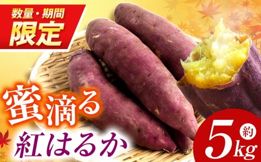 【先行予約】【数量・期間限定】 蜜滴る紅はるか5キロ（栽培期間中は農薬・化学肥料不使用）| 紅はるか さつまいも 化学肥料不使用 蜜たっぷり 甘いさつまいも 自然栽培 山の恵み ぽりっぽファーム 奈良県 御杖村