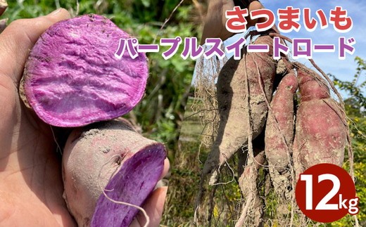 【期間限定】自然栽培 紫芋 さつまいも 12kg パープルスイートロード 京都 亀岡産 かたもとオーガニックファームよりお届け《サツマイモ 野菜 産地直送 国産 スイーツ》 ※離島への配送不可
