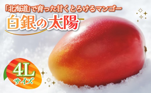 北海道鹿追産　白銀の太陽　４L×１玉【 ふるさと納税 人気 おすすめ ランキング マンゴー マンゴーフルーツ 果物 くだもの 果実 フルーツ ハウス栽培マンゴー 北海道 鹿追町 送料無料 】 SKZ013