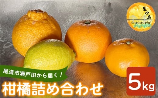 尾道市瀬戸田から届く！ 柑橘詰合せ 5キロ