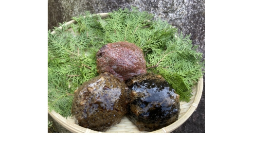 防府市産天然赤なまこ500g【1687970】