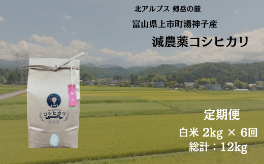 【毎月1回お届け】【定期便】【令和7年産】減農薬 上市町湯神子産コシヒカリ（白米）2kg x 6回 計12kg　 [ソムリエH 富山県 上市町 32280252-r6-01】 米 ６ヶ月 6回定期便 定期購入 お米 コメ ご飯 ごはん 白米ご飯 白米ごはん こしひかり