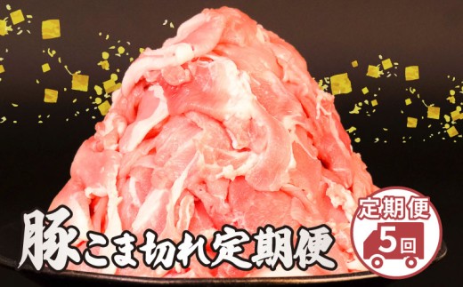 こま肉 5回定期便 2.5kg 美味北総豚 豚こま 小分け 真空パック 500g 国産 千葉県産 銘柄 美味北総豚 豚 豚こま肉 豚コマ肉 こま肉 切り落とし カレー 鍋 野菜 炒め 炒め物 煮物 家庭用 送料無料 産地直送 便利 人気 おすすめ 新鮮 時短 冷凍 千葉県 旭市 旭食肉協同組合 ask038