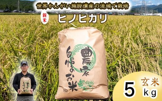 【 玄米 新米 】令和7年度産　ヒノヒカリ 八千種米　お米 5kg　ごはん　兵庫県産　世界かんがい施設遺産登録『西光寺野疏水路』 2370823 - 兵庫県福崎町
