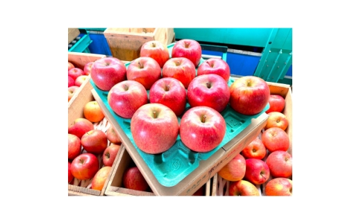 ＜2025年12月発送予定＞平均糖度13度以上! 葉とらずサンふじ 約3kg 訳あり【1682750】 2375783 - 青森県黒石市