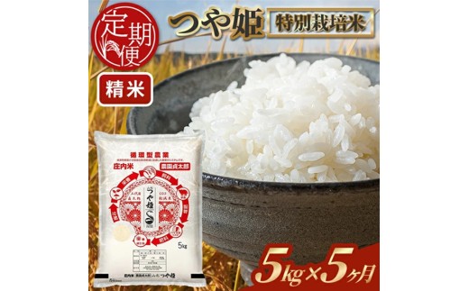 【5回定期便】令和7年産 ［精米］特別栽培米つや姫　 5kg×5回(計25kg) SM0051
