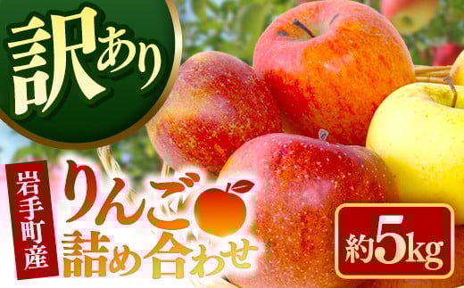 【訳あり】岩手町産りんご詰め合わせ約5kg 令和7年産 訳アリ 家庭用 規格外 不揃い りんご リンゴ サンふじ シナノゴールド シナノスイート 北斗 5kg フルーツ 果物 くだもの アップル 甘み 酸味 ジューシー セット 詰め合わせ 道の駅 産直 直送 岩手産 岩手町産 岩手県 岩手町 ふるさと振興公社