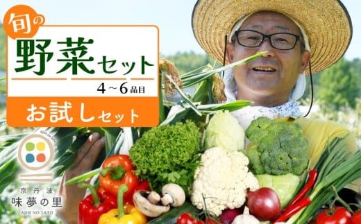 【お試しセット】 野菜セット 4~6種類 詰め合せ 季節の野菜 旬の野菜 野菜箱 野菜ボックス 野菜 セット 旬 国産 おまかせ 特産品 冷蔵 BBQ お試し 春野菜 夏野菜 秋野菜 冬野菜 詰合せ 京都 京都丹波 京丹波町 道の駅 味夢の里 2417109 - 京都府京都府庁