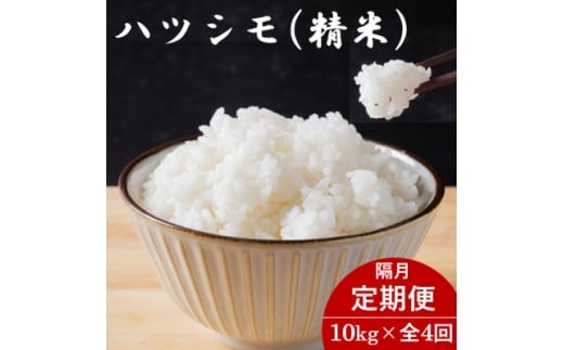 ＜2ヵ月毎定期便＞岐阜県産ハツシモ(精米) 10kg全4回【4076396】