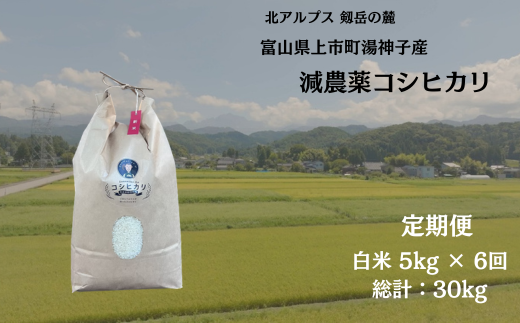 【毎月1回お届け】【定期便】【令和7年産】減農薬 上市町湯神子産コシヒカリ（白米）5kg x 6回 計30kg　 [ソムリエH 富山県 上市町 32280252-r6-02】 米 ６ヶ月 6回定期便 定期購入 お米 コメ ご飯 ごはん 白米ご飯 白米ごはん こしひかり
