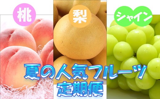 フルーツ 定期便 全3回 【7月・8月・9月発送】 和歌山の夏の人気フルーツをお届け（桃・梨・シャインマスカット） ｜ 桃 葡萄 梨 和歌山県産 国産 果物 旬の果物 産地直送