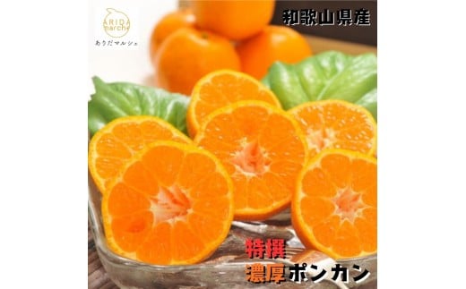 【特選】有田育ちの 濃厚 ポンカン 2kg ｜ みかん 蜜柑 柑橘 果物 フルーツ くだもの 果実 国産 和歌山県 晩柑