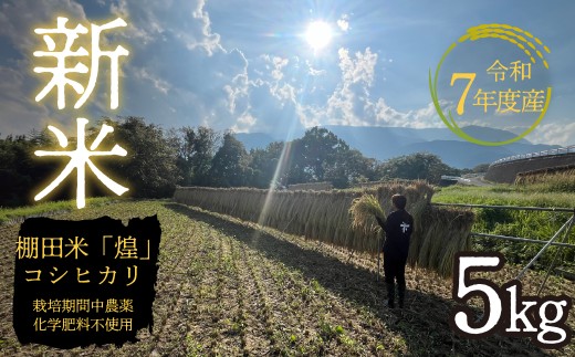 ＜令和7年産新米＞天日干し自然乾燥米5kg（玄米の希望も可） ALPFO001 2369841 - 山梨県南アルプス市