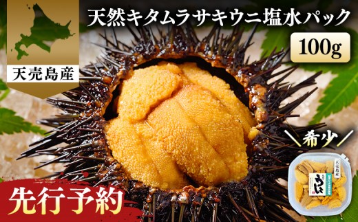 【北海道 天売島産】 ★2026年先行予約★ 天然 キタムラサキうに 塩水パック 100g×1パック