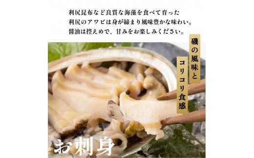 北海道利尻町のふるさと納税 利尻島産 天然蝦夷あわび500g（冷凍）｜魚介類 刺身 北海道 [1060004]