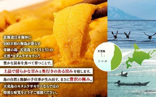 【北海道 天売島産】 ★2026年先行予約★ 天然 キタムラサキうに 塩水パック 100g×1パック