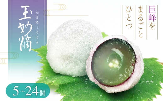 玉妙滴 24個入 スイーツ 和菓子