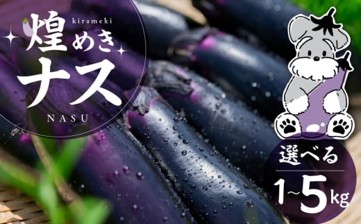 煌めきナス 1kg