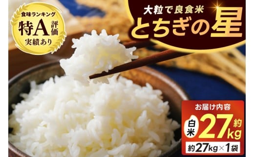 山﨑観光農園のお米　＼とちぎの星　白米27kg／｜栃木県 益子町 ふるさと納税 お米 大容量 米 白米 精米 約27kg（AU040）