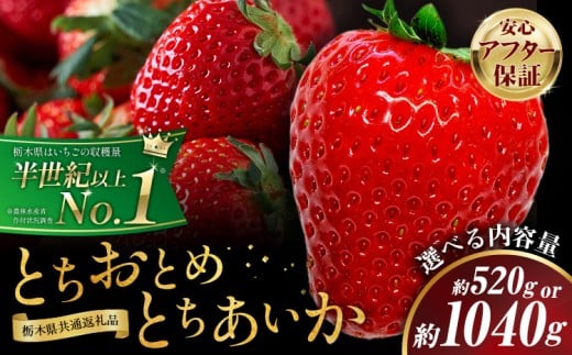 栃木 いちご 食べ比べ とちおとめ とちあいか 選べる 内容量 2パック 520g 4パック 1040g 《1月中旬-5月末頃出荷》 栃木県 野木町 いちご イチゴ 苺 とちおとめ とちあいか 食べ比べ 果物 フルーツ ハート型 ジューシー 【配送不可地域】沖縄・離島