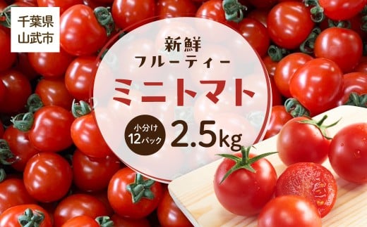 【先行予約】新鮮でフルーティーな小川ファームのミニトマト2.5kg(12パック入り) 【発送期間は5月中旬～7月中旬、9月上旬～11月下旬】SMCU001 2420726 - 千葉県山武市