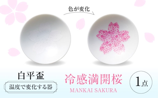 【美濃焼】 温度で変化する器 平盃 単品 『冷感満開桜』 多治見市 / 丸モ高木陶器 盃 陶磁器 [TBA282]